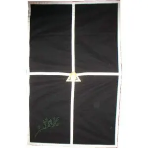 Drap Mortuaire Elevation RER.