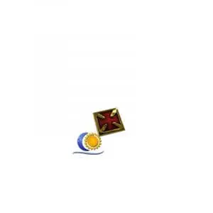 Pin's Croix Templiére