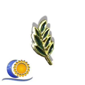 Pins acacia vert